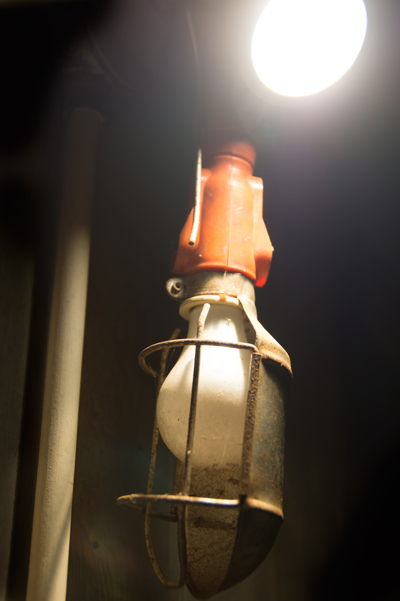 October 15, 2015:  The utility light, with a dead bulb, harkens back to times of working at night on cars and other projects, by a utility light accompanied by flying insects.  Still...life.