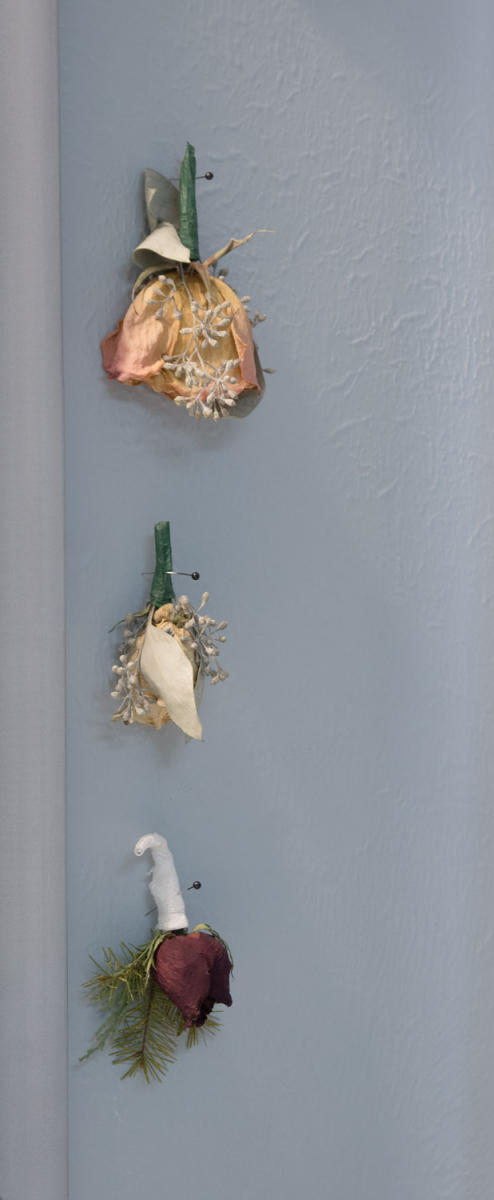 January 1   These boutonneires greet me every morning, pinned to the wall next to my mirror. They remind me of beauty of aging, and beauty of special times and special moments in life as I age, too.