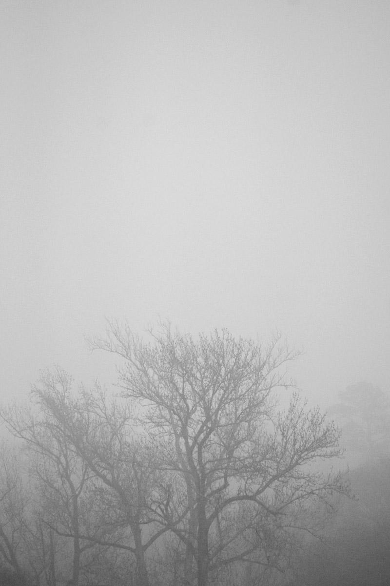 January 18    The fog before the cold front provided a scene that was wonderful to look at, and inspired ideas for poetry and stories. Beautiful days don't need to be "chamber of commerce" days.