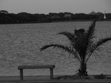 Bench awaiting a guest at Clear Lake in Texas.