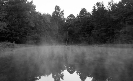 October 3, 2015:  The morning fog moves across the water as the new day begins and temperatures change.  My place away from places brings me calm and reminders of how beautiful the world is.  Pause.  Notice.  Create.  Still...life.