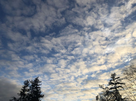 December 21  Clouds like this at this time of day remind me of playing in the street with my friends until dark, ignoring the cooling temperatures the end of sunlight approaches. Beautiful times, beautiful Creation, beautiful memories.