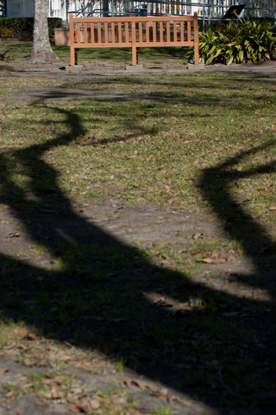 A tree shadow reaching for a solitary bench in Friendswood, TX