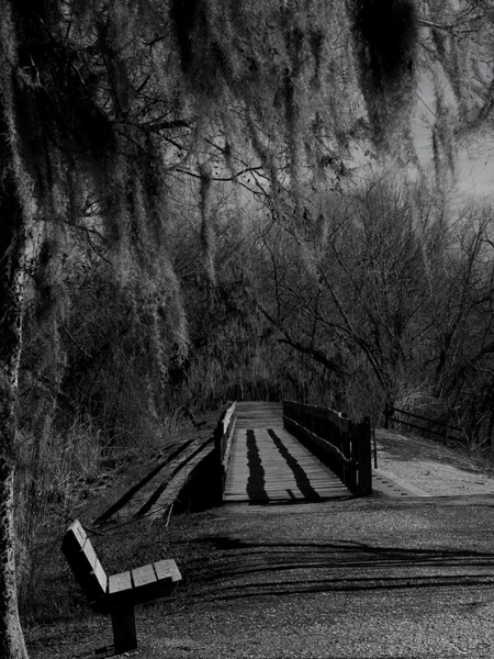 Bench awaiting the walkers at Brazos Bend State Park in Texas.