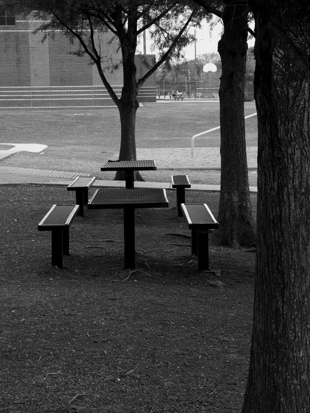 Benches that normally hold kids on lunch breaks.