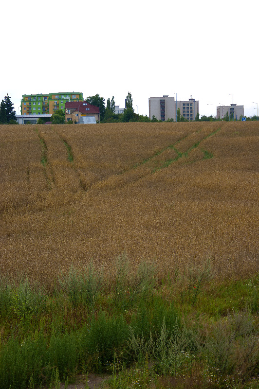 field near University of West Bohemia