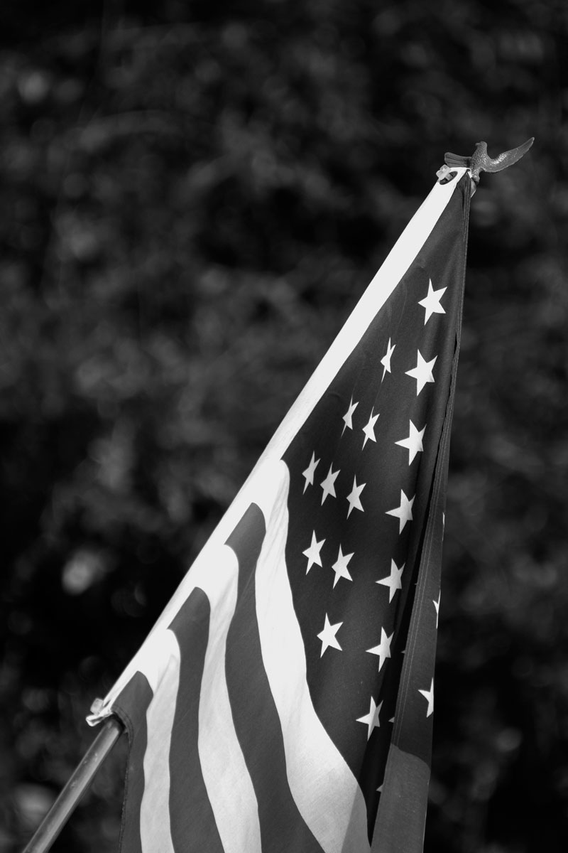 January 16, 2015:  The flag greets me every time I leave or arrive home.  Today, she looks tired.  But she persists, as do we all.  Still...life.