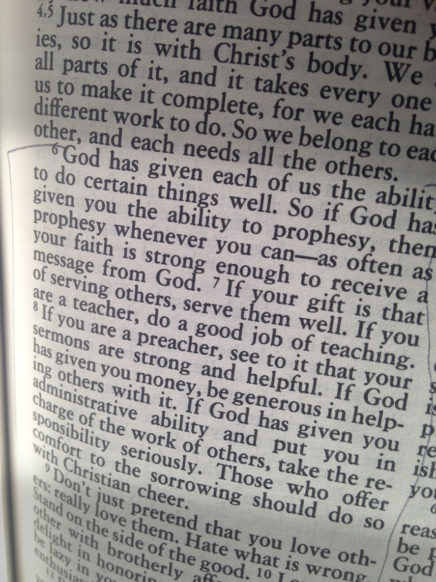 February 18, 2015:  This belief drove me as an employee and as a manager. It drove me to make the job changes to self-employment so I could live the concepts more fully and genuinely.  This is leadership, management, empowerment and living.  (Romans 12) Still...life.