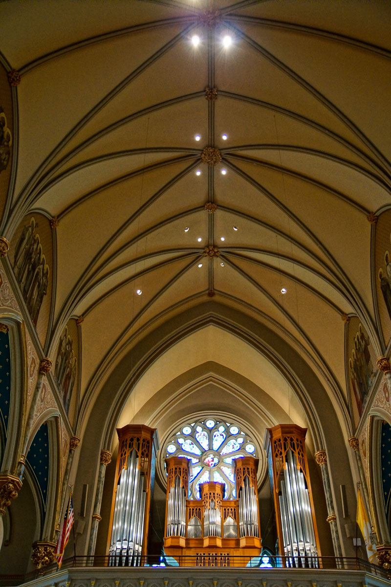 August 5, 2015:  I believe God surrounds us, but that doesn't mean I don't also like to go into a centuries old church to get that feeling that "God lives and listens here."  So it is at the Cathedral of St. John the Baptist in Savannah, GA.  Go...and be heard.  And listen.  Still...life.