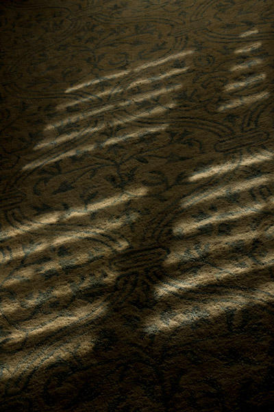March 14   Light slats on a rug, a light ladder leading to shadows...I am not sure what I see, but it caught my eye.  We're surrounded by different types of beauty that would catch our eye if we were willing for it to be caught.
