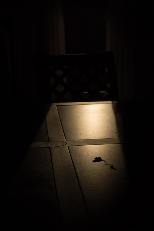 September 5   The reflection stands out on the table as the low angle of approaching dusk makes art out of a dripping left on a patio table.