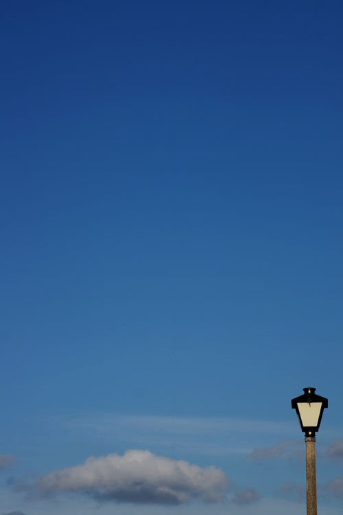 November 20  I have been drawn to light poles for years, and their simplicity against skies as canvas continue to strike me as beautiful.