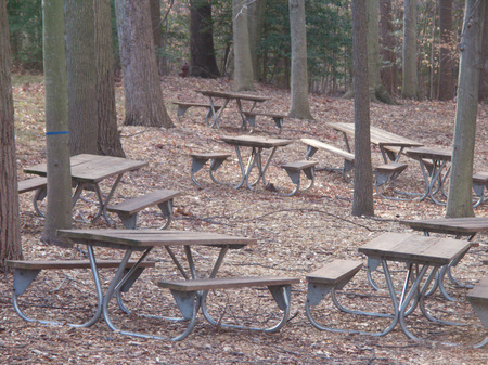 Benches in Maryland, a scattering of emptiness.