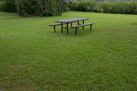 Solitary bench.