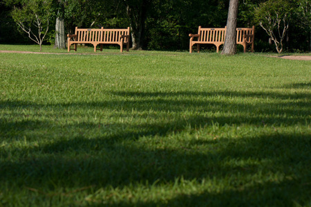 A bench pair in Friendswood, TX