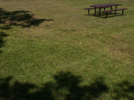 Solitary bench with encroaching shadows.