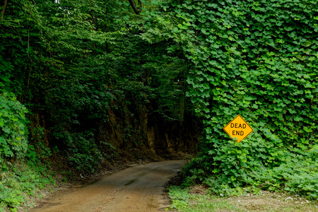 Kudzu covering Yazoo City, MS