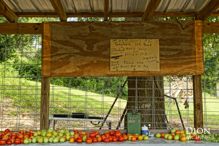 Home grown vegetables for sale in Zero, MS