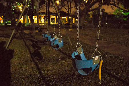 February 12, 2015:  Swings bring back childhood memories, teen memories and fatherhood memories.  These, lonely and unused at night, still call out for companionship and remind me of great times.  More to come.  Still....life.