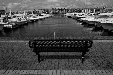 April 6, 2015:  Forrest Gump has his bench; I have mine.  This is located outside my new office for Empowered Creativity Institute...a view, mood and setting for creativity indeed.  Much to do, much to do.  Still...life.