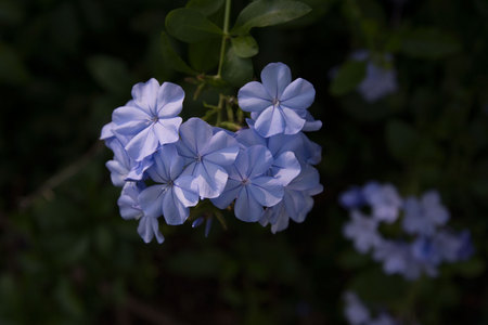 April 29, 2015:  Stop and smell the....anything.  Just stop.  Notice.  Colors, light, shadows, patterns, movement, stillness...be still and notice.  Still...life.