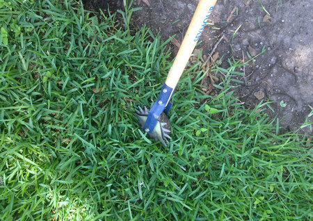 May 30, 2015:  Modern gas with ethanol rotted out the fuel line of the string trimmer despite "preservative" being added.  Back to the old school ways of edging, bringing up great memories of the days when this tool was common.  It became a tool of time travel today.  Still...life.