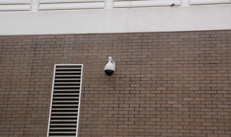 June 26, 2015:  I thought I was photographing lines and patterns again; I am drawn to that often and always have been.  Then I realized I was photographing a bird.  
Always look more thoroughly.  Still...life.