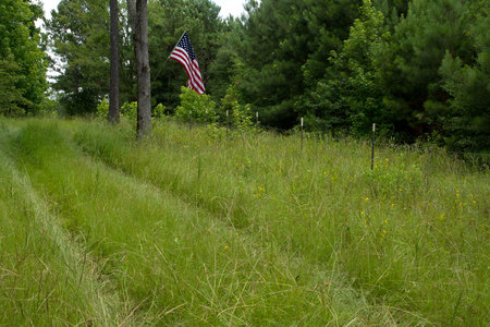 July 1, 2015:  A new flag at my place away from places. Each visit a reminder of life, liberty and pursuit of happiness, as well as of private property.  I feel a lot of flag inspiration leading to Independence Day.  Still...life.