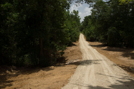 July 5, 2016:  Finding, creating or getting help to create a more clear path is almost always a good thing. It works for roads, too.  Still...life.