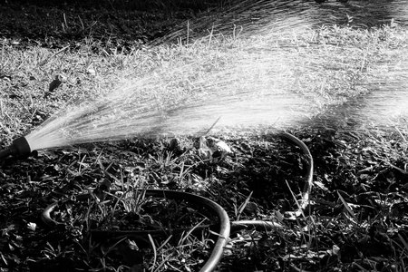 July 25, 2015:  The spring deluges that were supposed to extend throughout the summer have resulted in four-tenths of an inch for July. Laying the hose down for the fig tree provided a view that reminded me of playing in sprinklers as a kid and as a dad.  Torrid heat can be good for play.  Still...life.