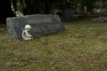 August 6, 2015:  Cemeteries everywhere speak silent stories:  loss, waiting for reunion, loving...they are humbling, assuring, calming.  Still...life.