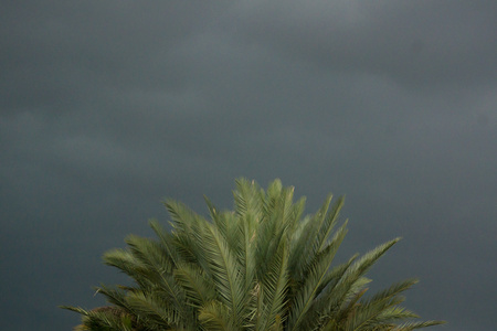 August 25, 2015:  While I admired the beauty of the impending storm and related colors, I also worried about my son and his friend who had gone offshore fishing thanks to the great weather reports.  While I photographed, he worked mightily to not be Gilligan's Island II.  At any moment, people are not seeing the world the same way.  Still...life.