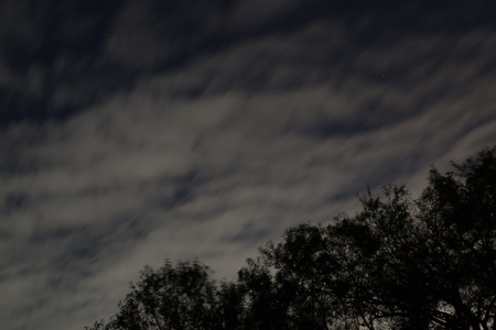 November 12, 2015:  Night and no moon, but city glow draws the clouds out of the night sky.  A wonderful view from my driveway  after teaching photography class.  Still...life.