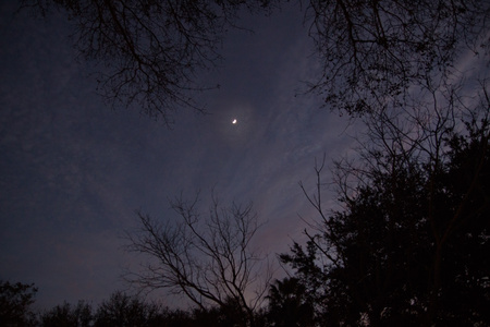 December 16, 2015:  Taking the camera out of the car so I could get a "Still...life" image, wondering what it could be at this time.  I looked up.  Question answered.  Still...life.