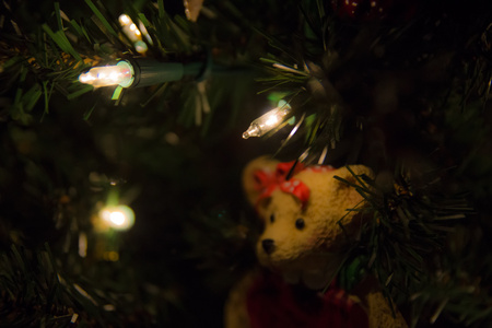 December 22, 2015:  I wonder if in his earlier years he held this position to watch as little children ran excitedly to the tree.  'Tis the season.  Still...life.