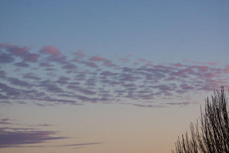 January 11  Looking up to morning clouds as the sun rises reminds me of cobblestones in the sky -- beautiful, soft, colorful cobblestones.  Look up, not just out, during your day.