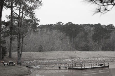 January 15  This almost appears to be a slightly sepia toned image, but the water is actually brown due to recent rains. Beauty can be found in what we see and how we share through our vision what we see.