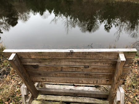 February 2   More beautiful aging, made more poignant by the beautiful inscription on the back of the bench: "Old Man and His Fishing Buddy." My son made this as a place for his daughter and I to fish.  Since then, he's had a son, too.  The bench will be wonderfully crowded as beautiful memories are made.