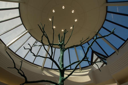 February 13    The crown and halo for this tree caught my attention, though I wonder how many others in the airport noticed it at all.