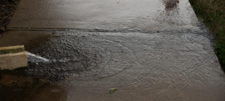 February 26    I couldn't decide which I thought was most wonderful to look at, the flowing water or the rain drops, so I opted for both. Ever-changing patterns thanks to rain and a rain gutter.