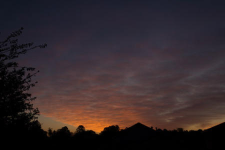 March 22  I am trying to not repeat too much of the same sort of beauty as inspiration, but this East Texas sunrise requires me to look to the sun and clouds again for today's view of beauty.