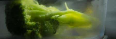 March 30   The green of the broccoli seemed particularly vibrant and beautiful under the refrigerator light.  