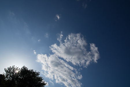 May 5  Cloud watching near the end of the day. The blue sky day amidst days of rain and overcast provides a moment to create characters out of clouds, and to appreciate nuances of blue.