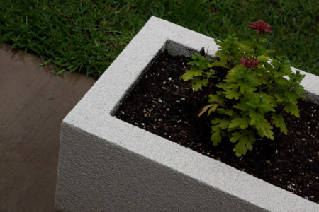 May 7  Overcast, rainy, perfect for appreciating colors and forms, the geometry of the planter and the details of the plant.