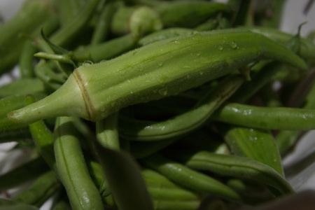 June 5   Not quite to a level to break out the canning supplies, but the fresh okra and beans made a great complement to supper.  Fresh, tasty, creation, beautiful.  Pausing to appreciate the miracle of seeds maturing to plants that produce meals reveals all the more beauty of it all.