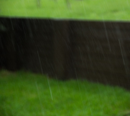 July 2   Rain, rain and more rain...beautiful patterns of movement and yielding beautiful greens and richness.