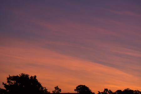 July 8   Another beautiful East Texas sunrise.