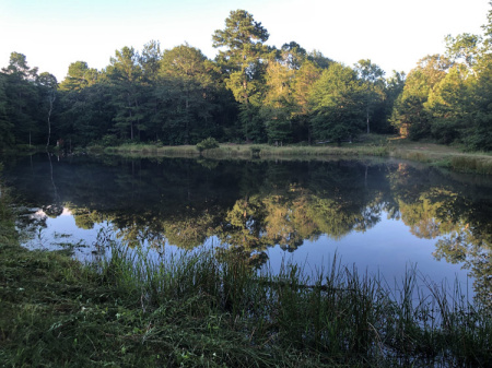 July 13  My place away of places providing peace after an arduous day of labor with tractor, push mower, machete and more.  A beautiful place and a beautiful feeling of exhaustion.