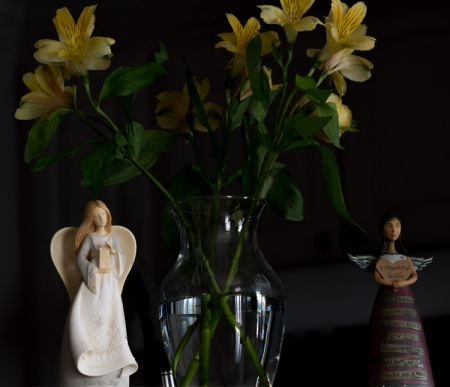 August 24  A week after giving my wife the bunch of flowers at the airport, a few remain, steadfast in their service and beauty amidst the angels facing the afternoon light.