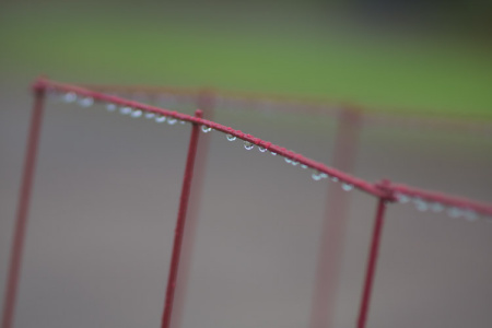 September 18   A pause in the gentle rain leaves a beautiful blend of colors and evidence of the welcome precipitation.